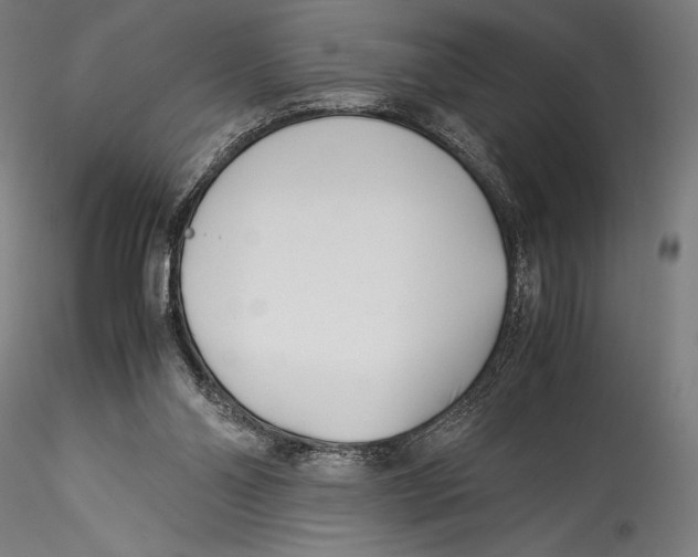 X0000115300110200911301522