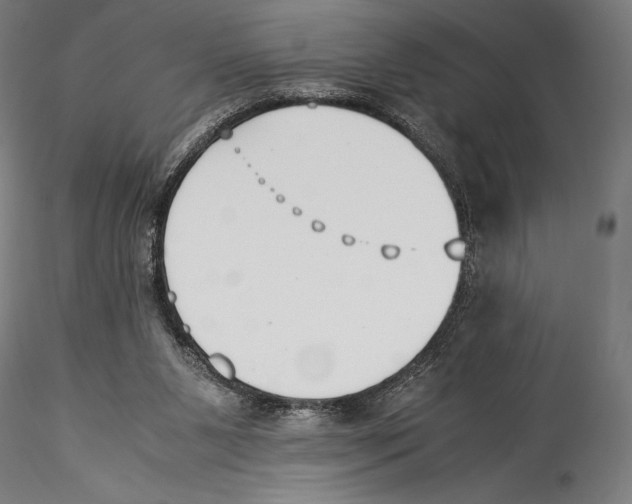 X0000115300111200911301522