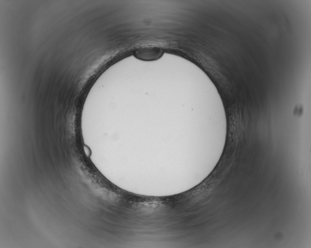 X0000115300112200911301522