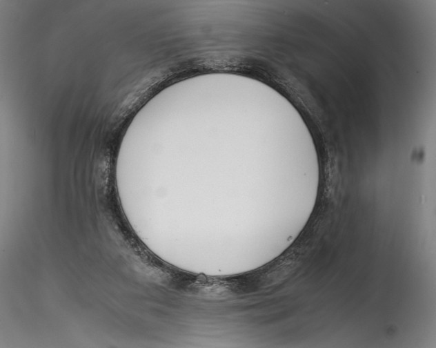 X0000115300113200911301522