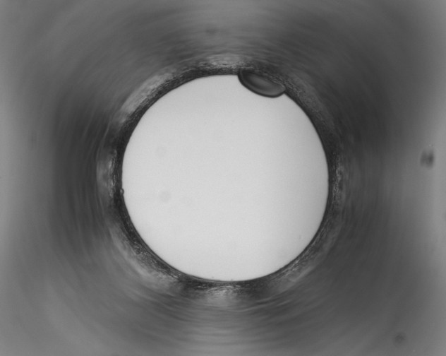 X0000115300116200911301522