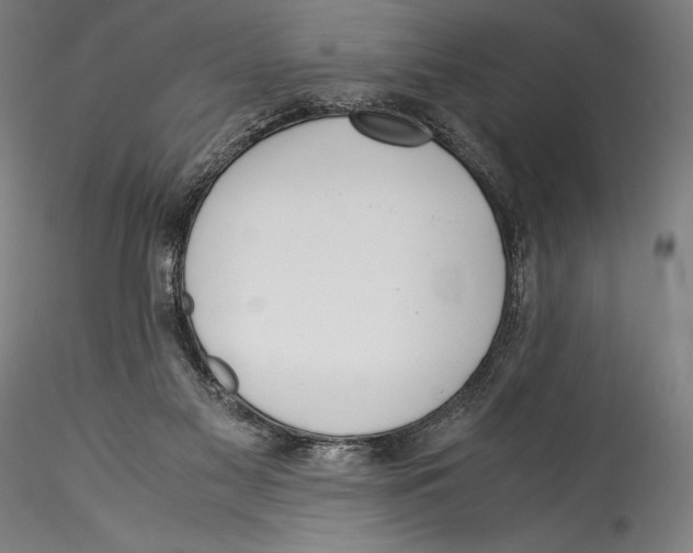 X0000115300117200911301522