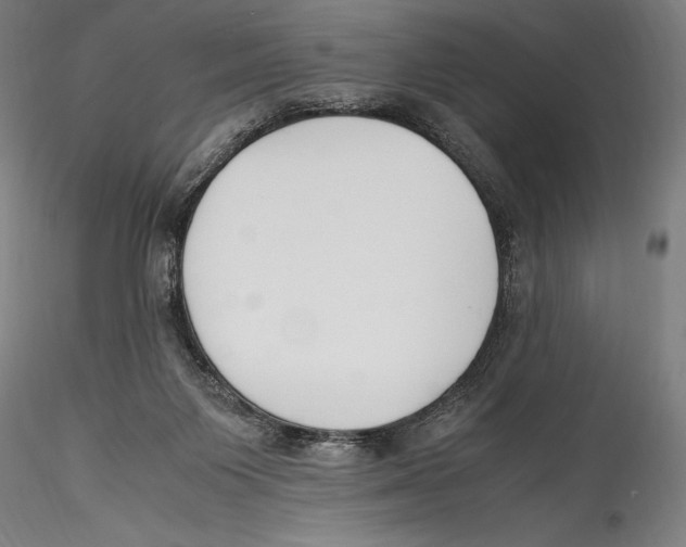 X0000115300119200911301522