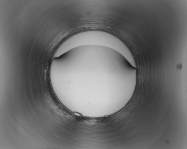 X0000115300120200911301522