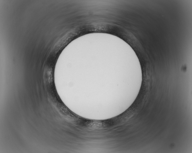 X0000115300123200911301522