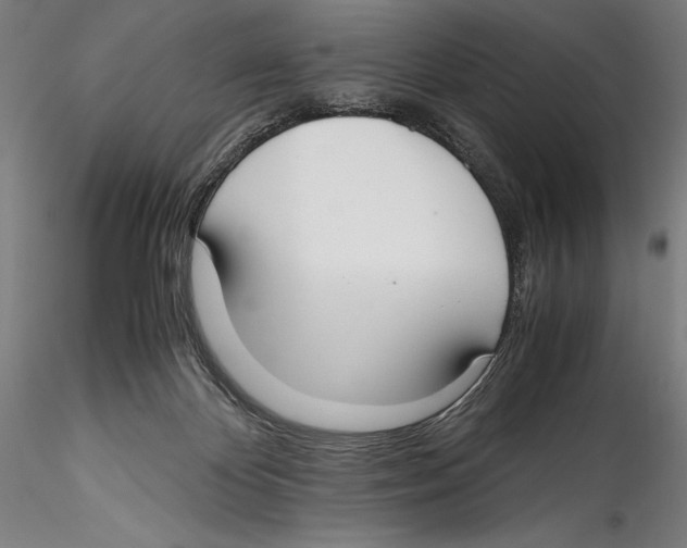 X0000115300124200911301522