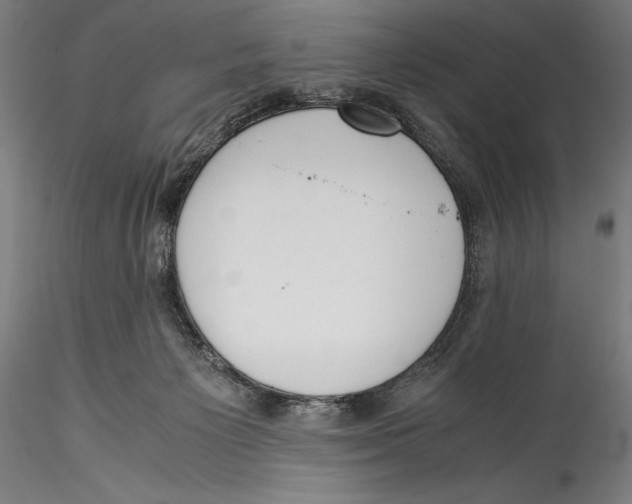 X0000115300125200911301522