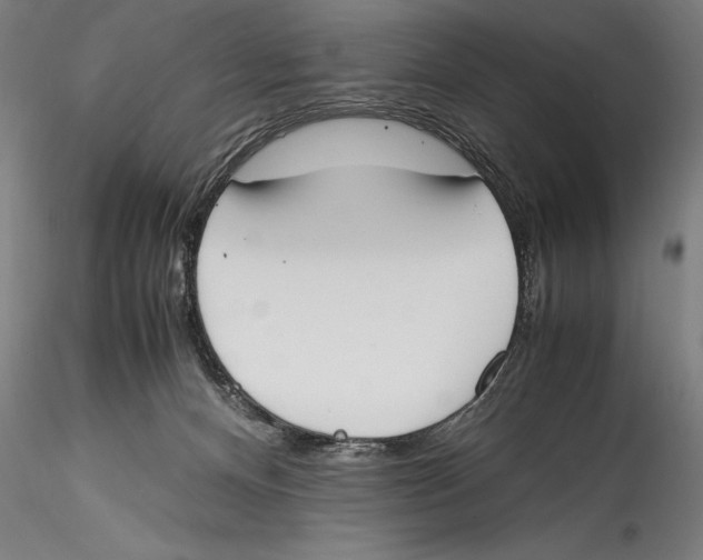 X0000115300128200911301522