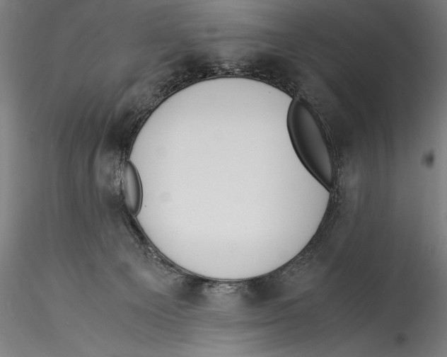 X0000115300129200911301522