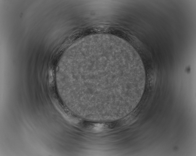 X0000115300130200911301522