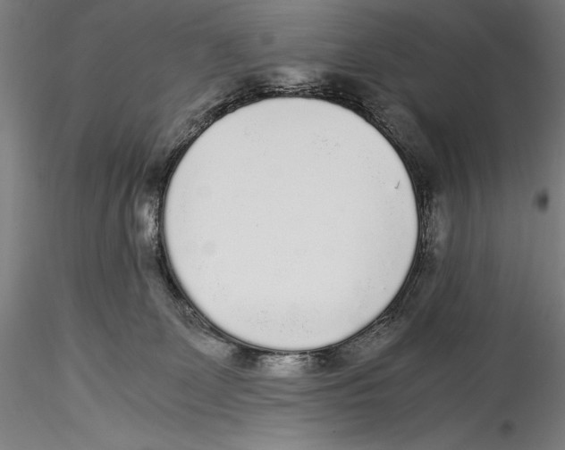 X0000115300131200911301522