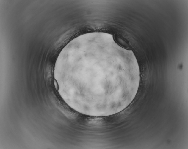 X0000115300132200911301522