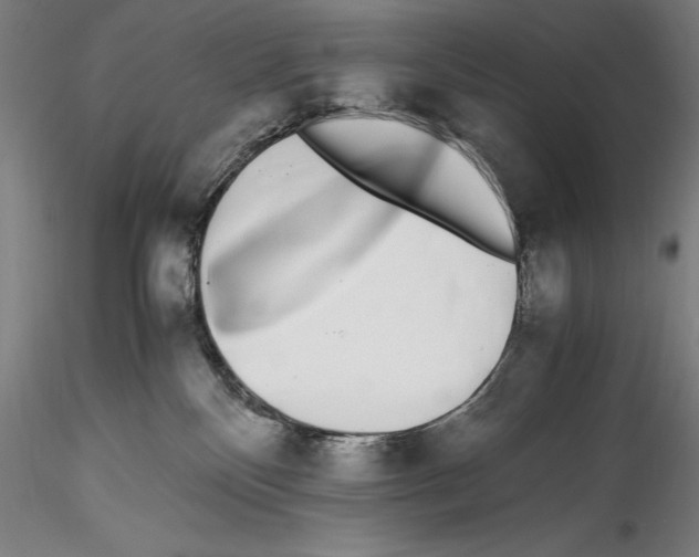 X0000115300136200911301522