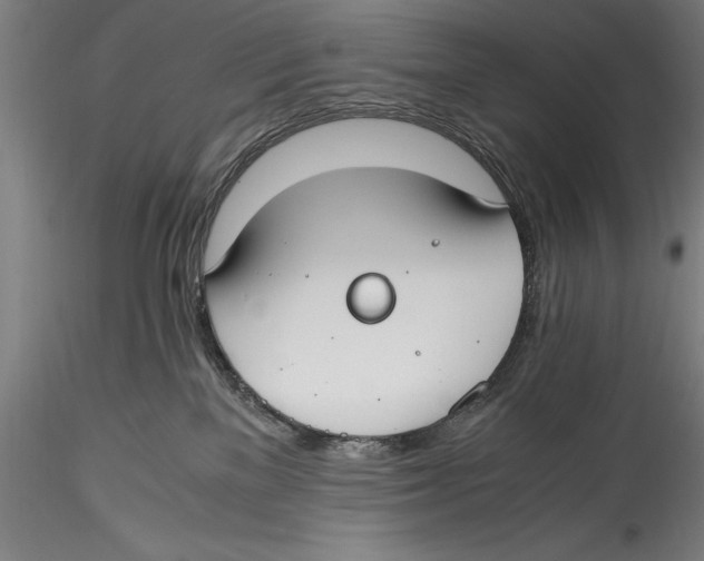 X0000115300137200911301521