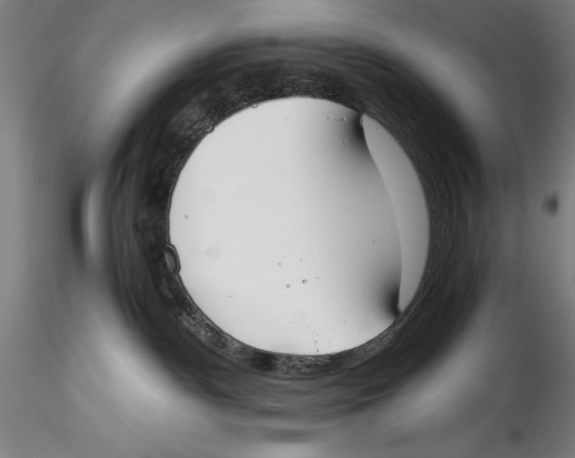 X0000115300140200911301521