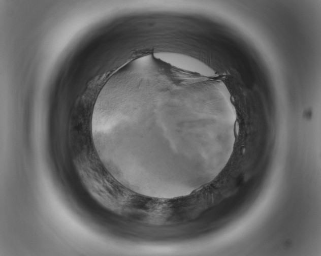 X0000115300143200911301521