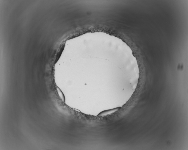 X0000115300144200911301521