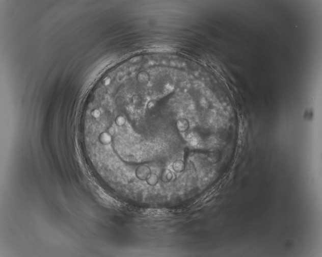 X0000115300145200911301521