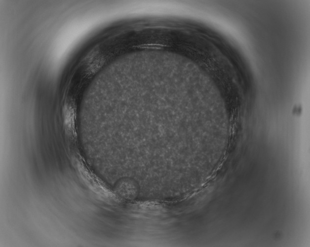 X0000115300146200911301521