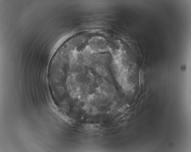 X0000115300147200911301521