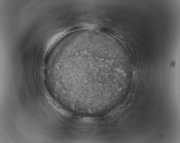 X0000115300149200911301521