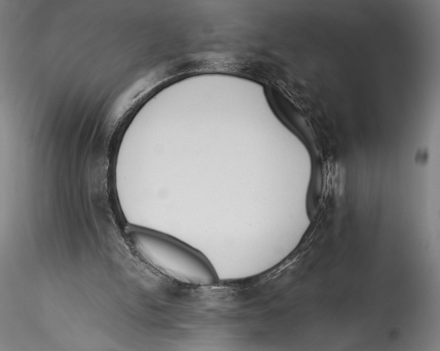 X0000115300150200911301521