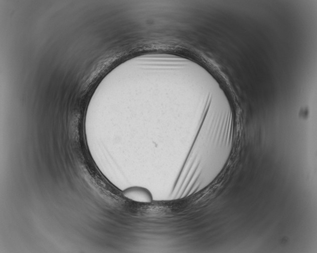 X0000115300154200911301521