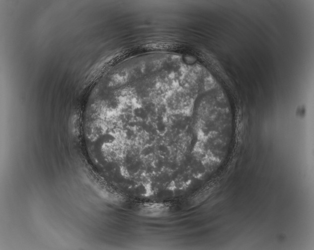 X0000115300161200911301521