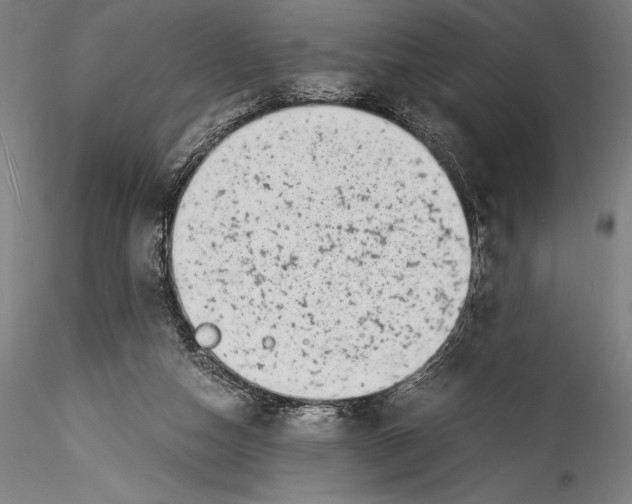 X0000115300162200911301521