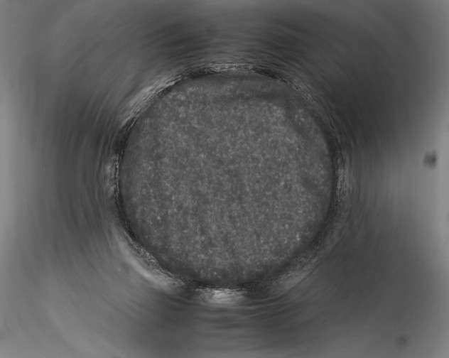 X0000115300165200911301521