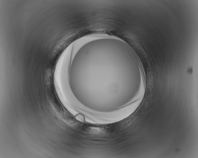 X0000115300167200911301521