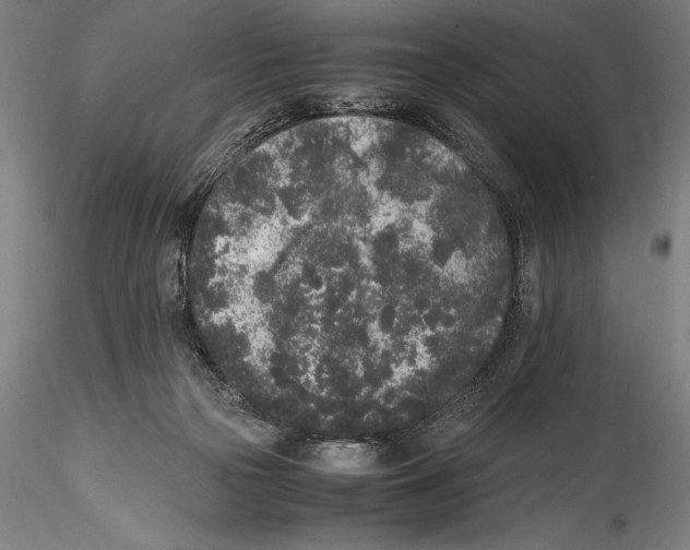 X0000115300169200911301521