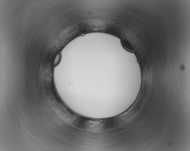 X0000115300170200911301521