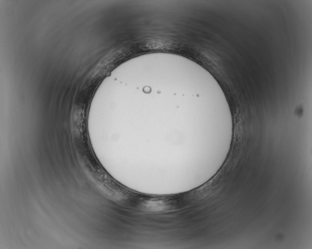 X0000115300171200911301521