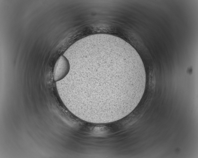 X0000115300173200911301521