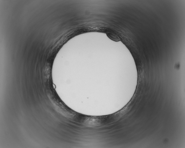 X0000115300174200911301521