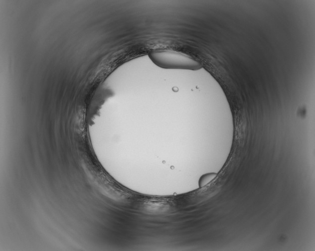 X0000115300175200911301521