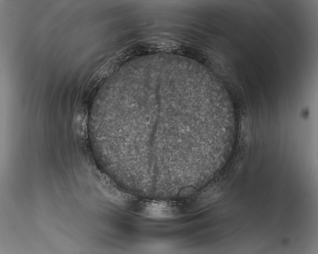 X0000115300177200911301521