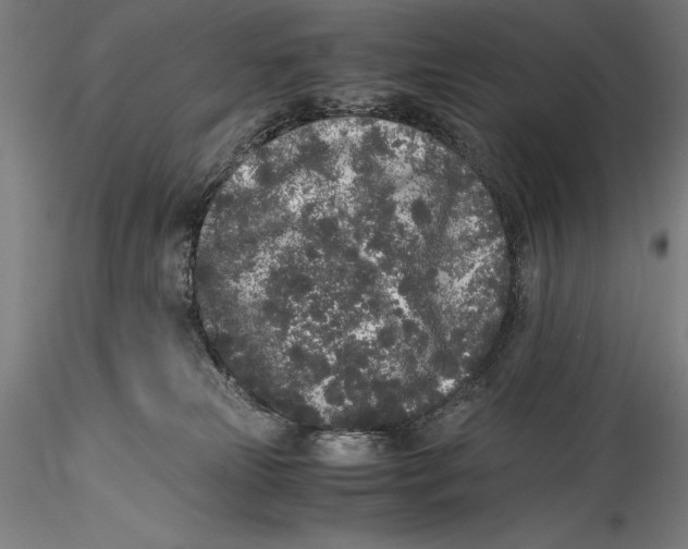 X0000115300181200911301521