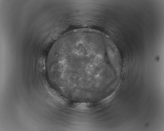 X0000115300182200911301521