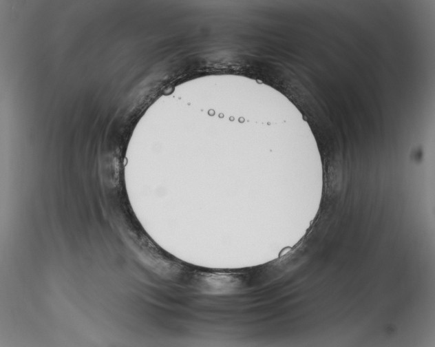 X0000115300183200911301521