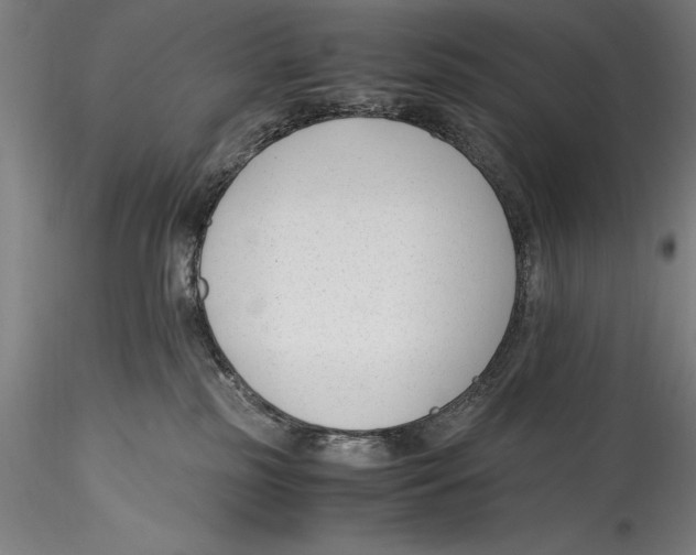 X0000115300185200911301521