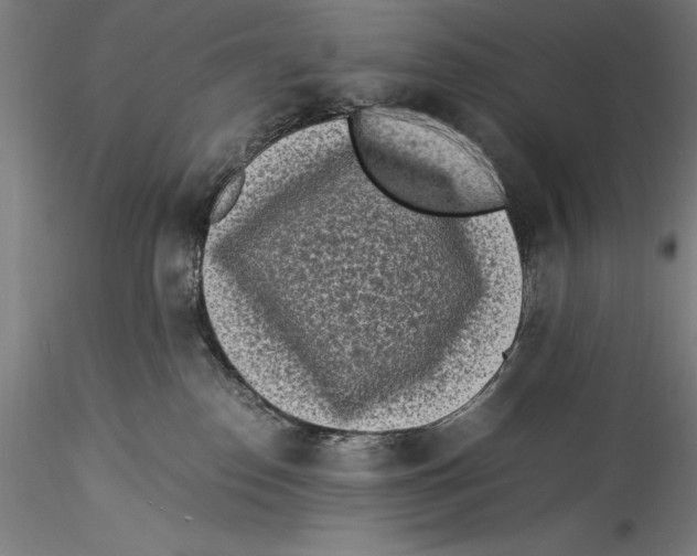 X0000115300186200911301521