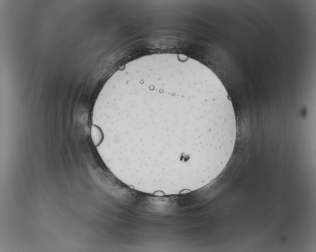 X0000115300187200911301521