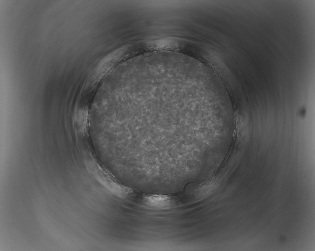 X0000115300189200911301521