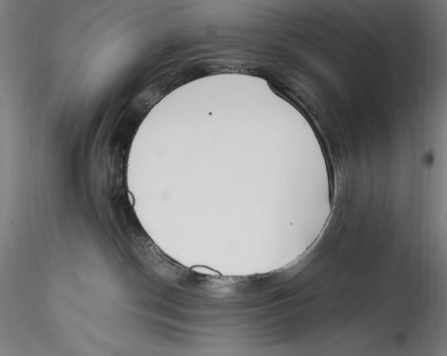 X0000115300190200911301521