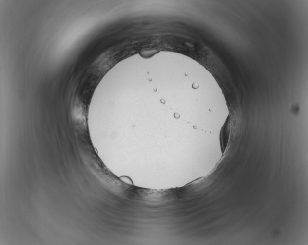 X0000115300191200911301521