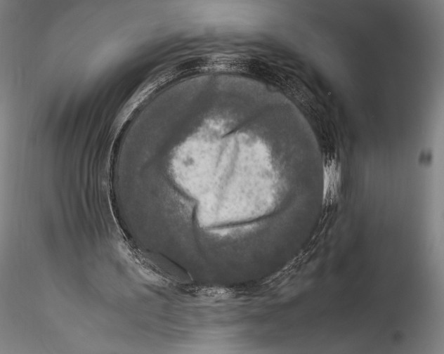 X0000115300195200911301521