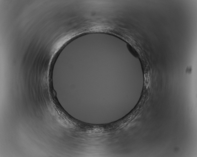 X0000115300196200911301521