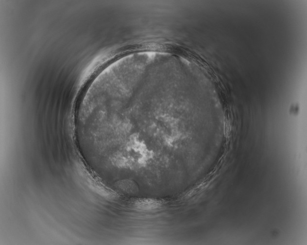 X0000115300198200911301521